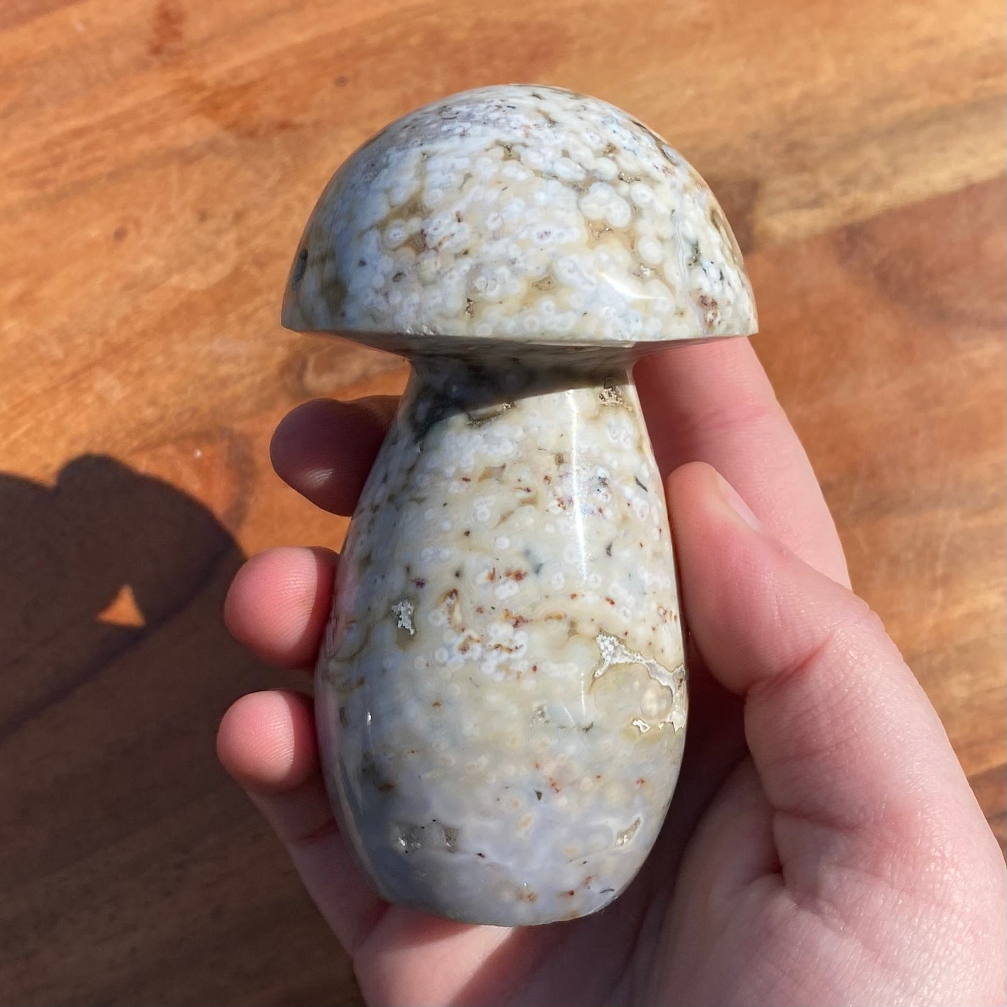 Ocean Jasper Mushroom with druzy