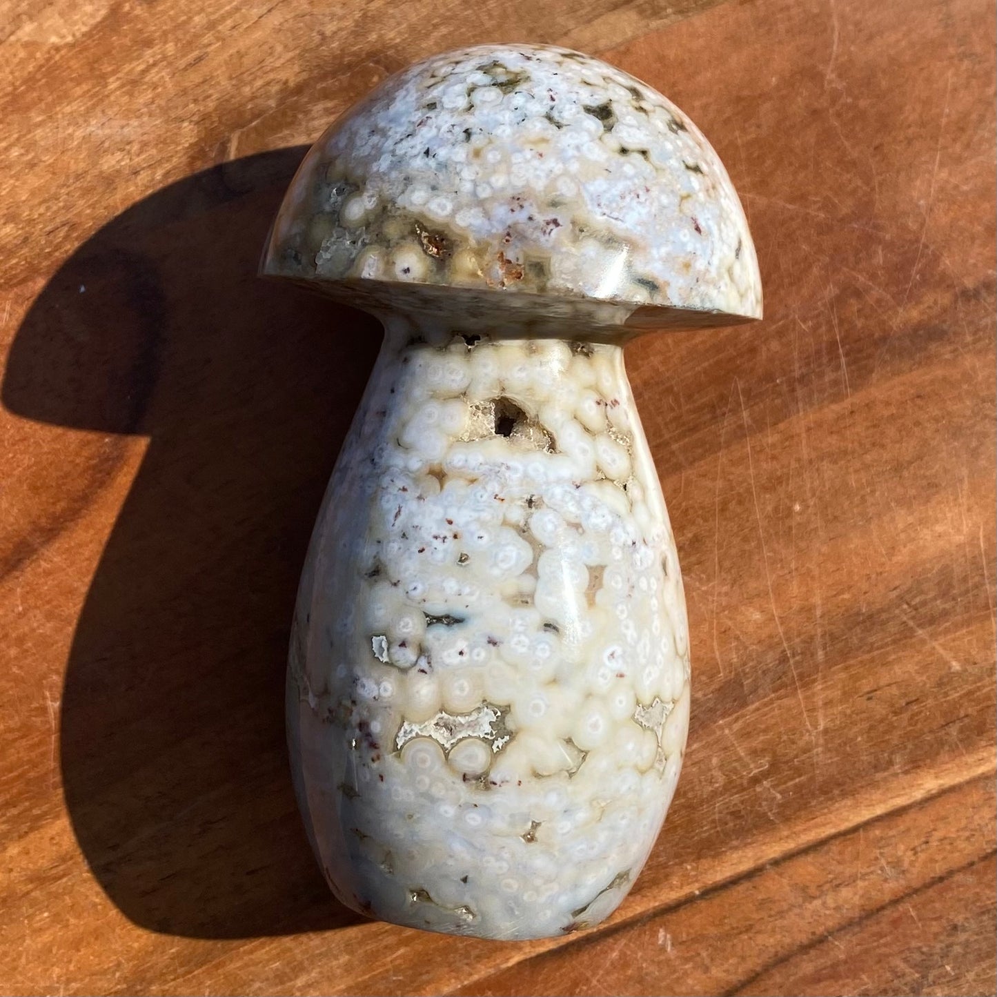 Ocean Jasper Mushroom with druzy